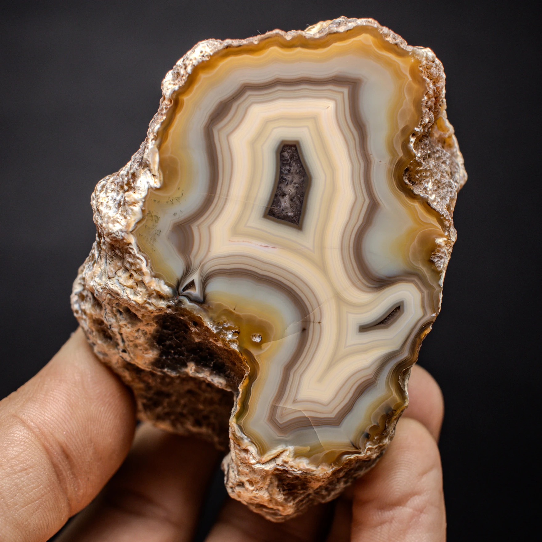 Desert Pulse - view 2
