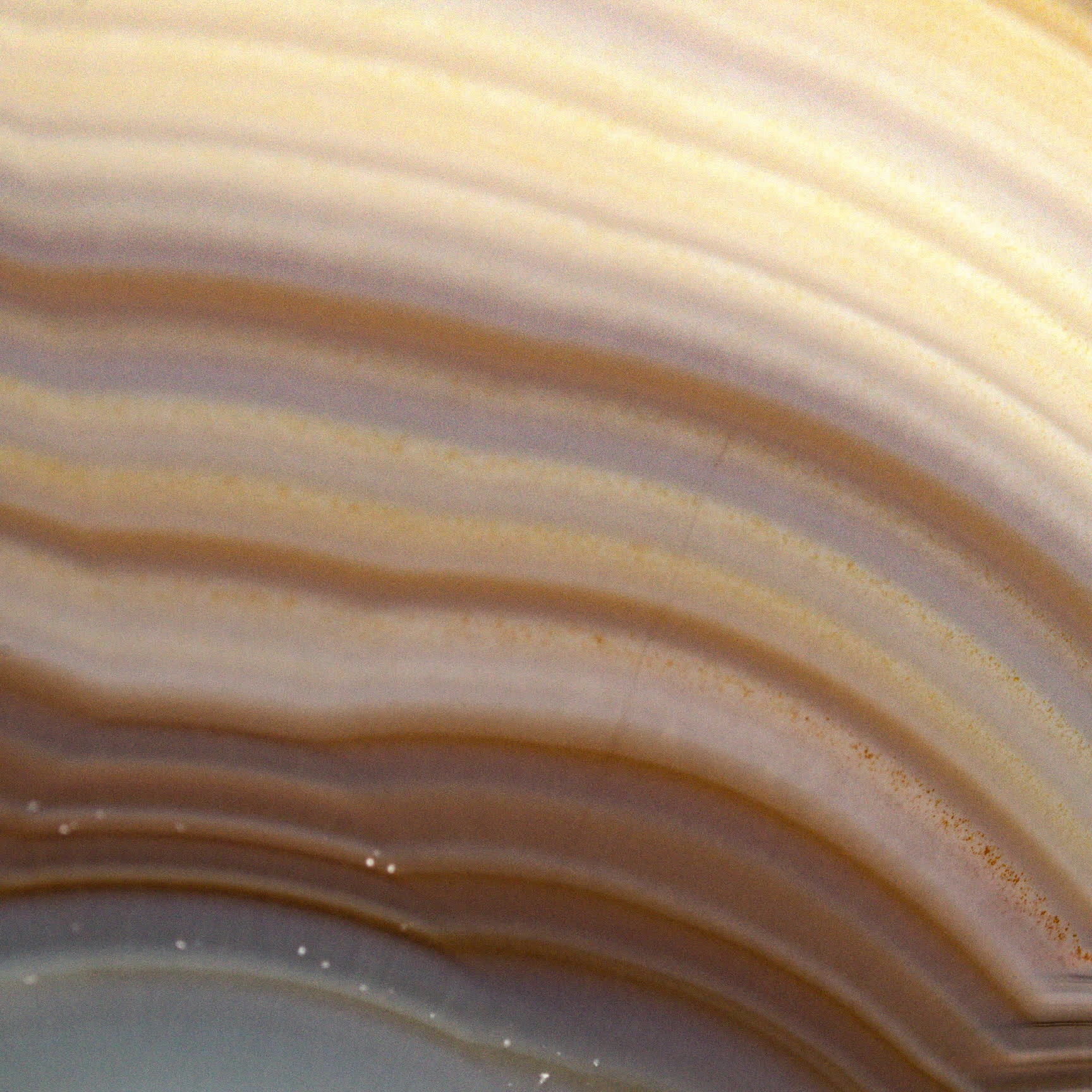 Desert Pulse - view 3