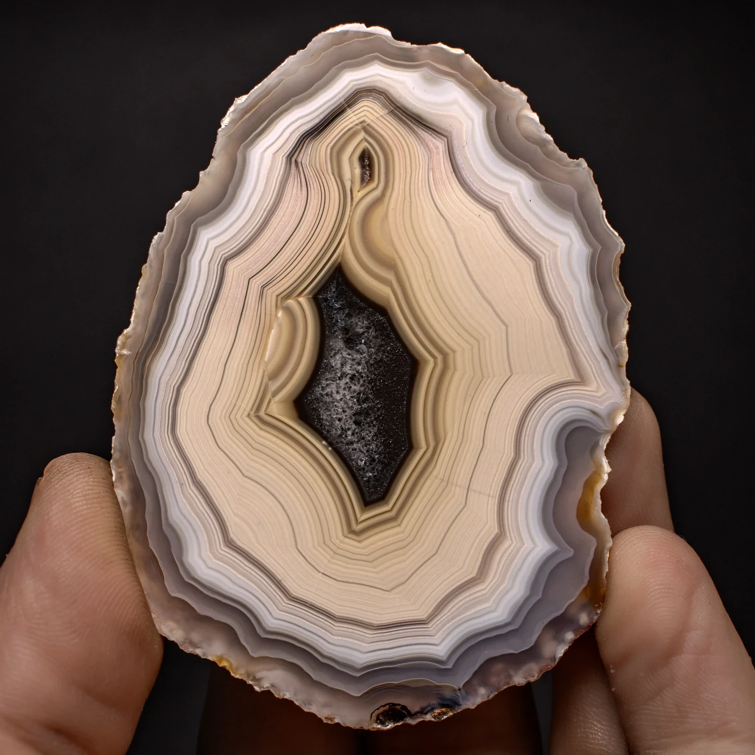 Pale Lock - view 2