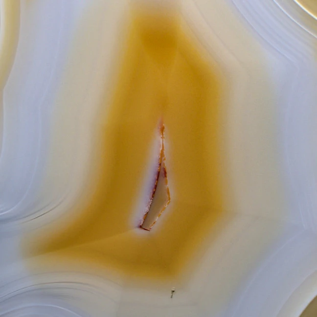 Golds  - view 3