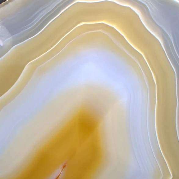 Golds  - view 5