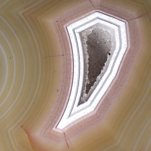 Golden Eye - view 5