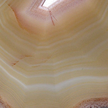 Golden Eye - view 4